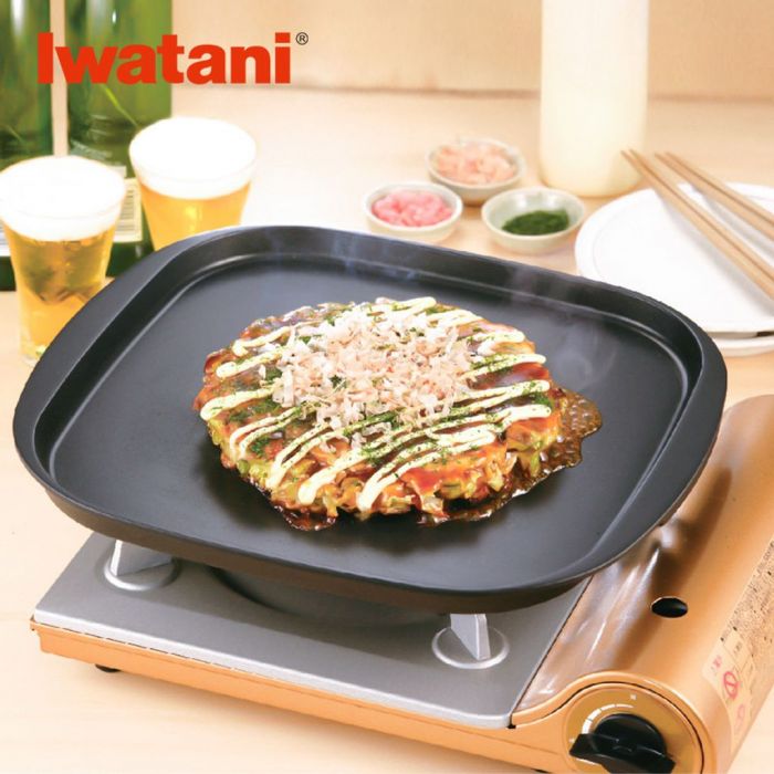 Iwatani grill outlet plate